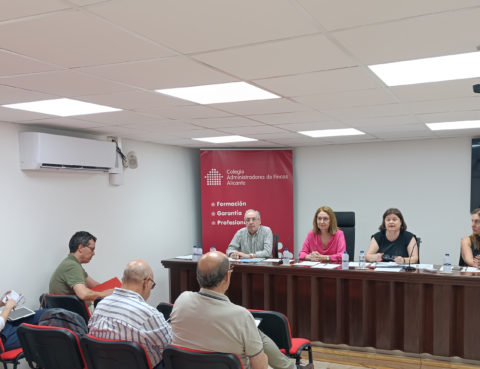 Asamblea General de Colegiados